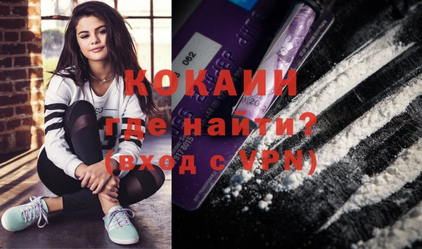 винт Инта