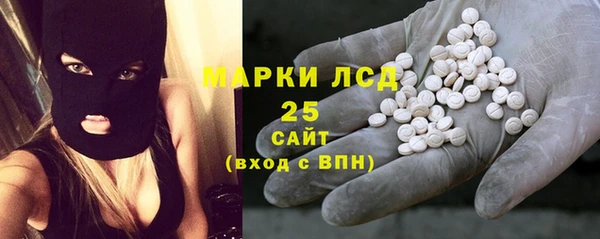винт Инта