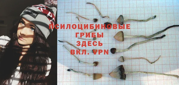 винт Инта