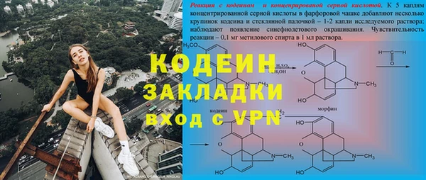 винт Инта