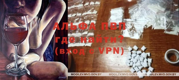 винт Инта