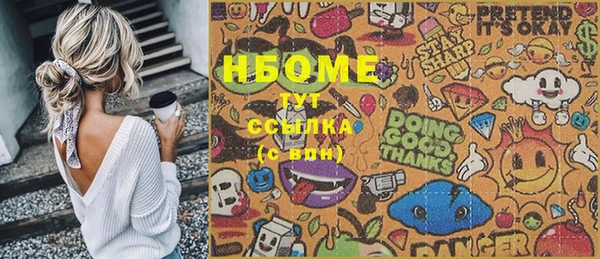 шишки Снежногорск