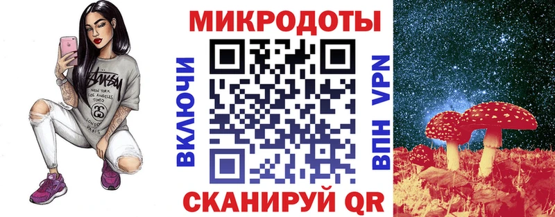 Купить  Сельцо  Галлюциногенные грибы Psilocybine cubensis 